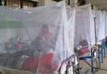 ডেঙ্গুতে আরও ২ জনের মৃত্যু
